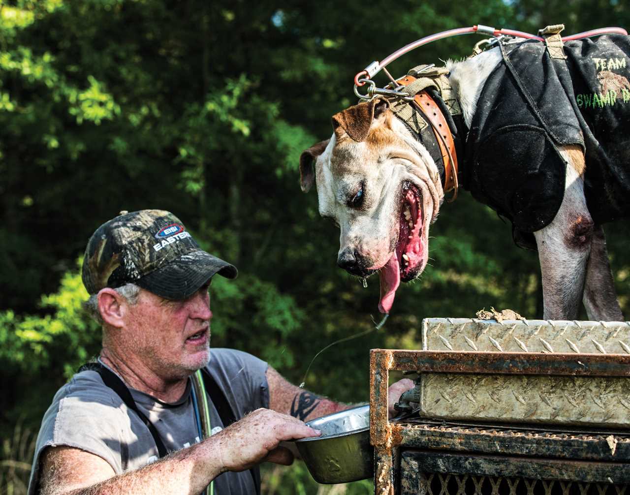 Watering the dogs after a hog hunt.