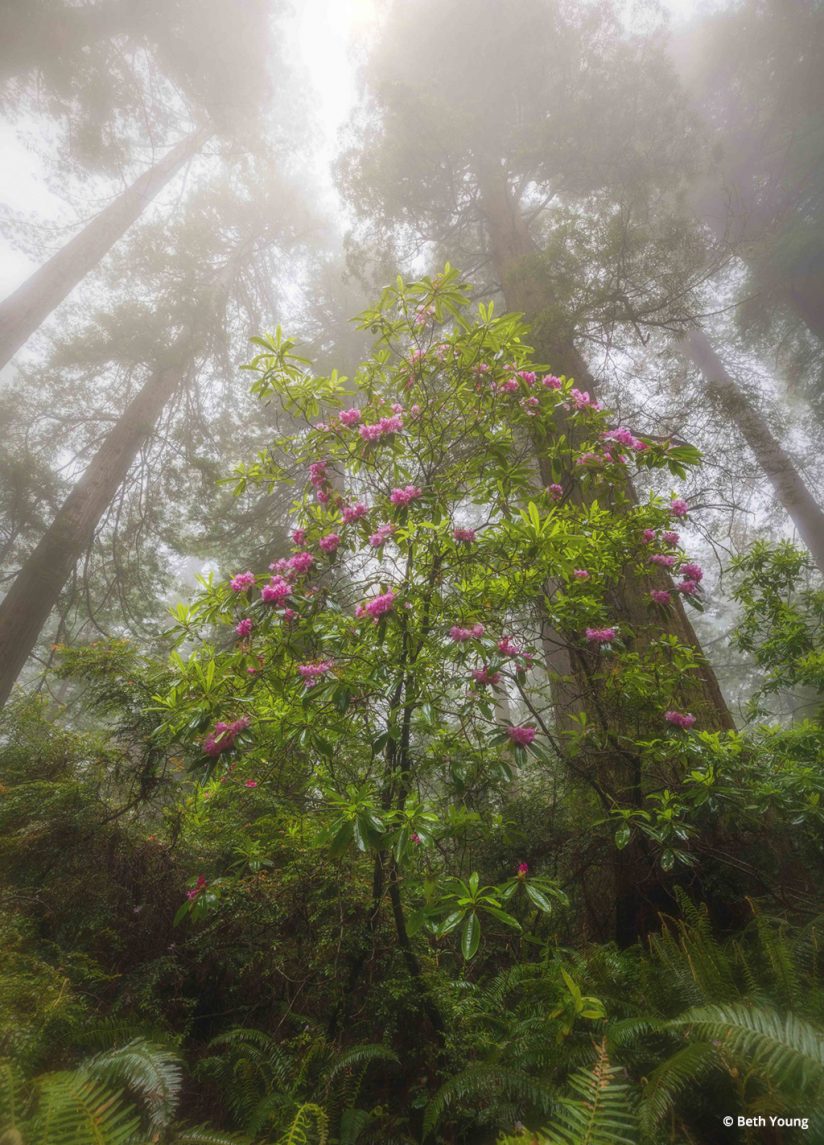 Photo Of The Day By Beth Young