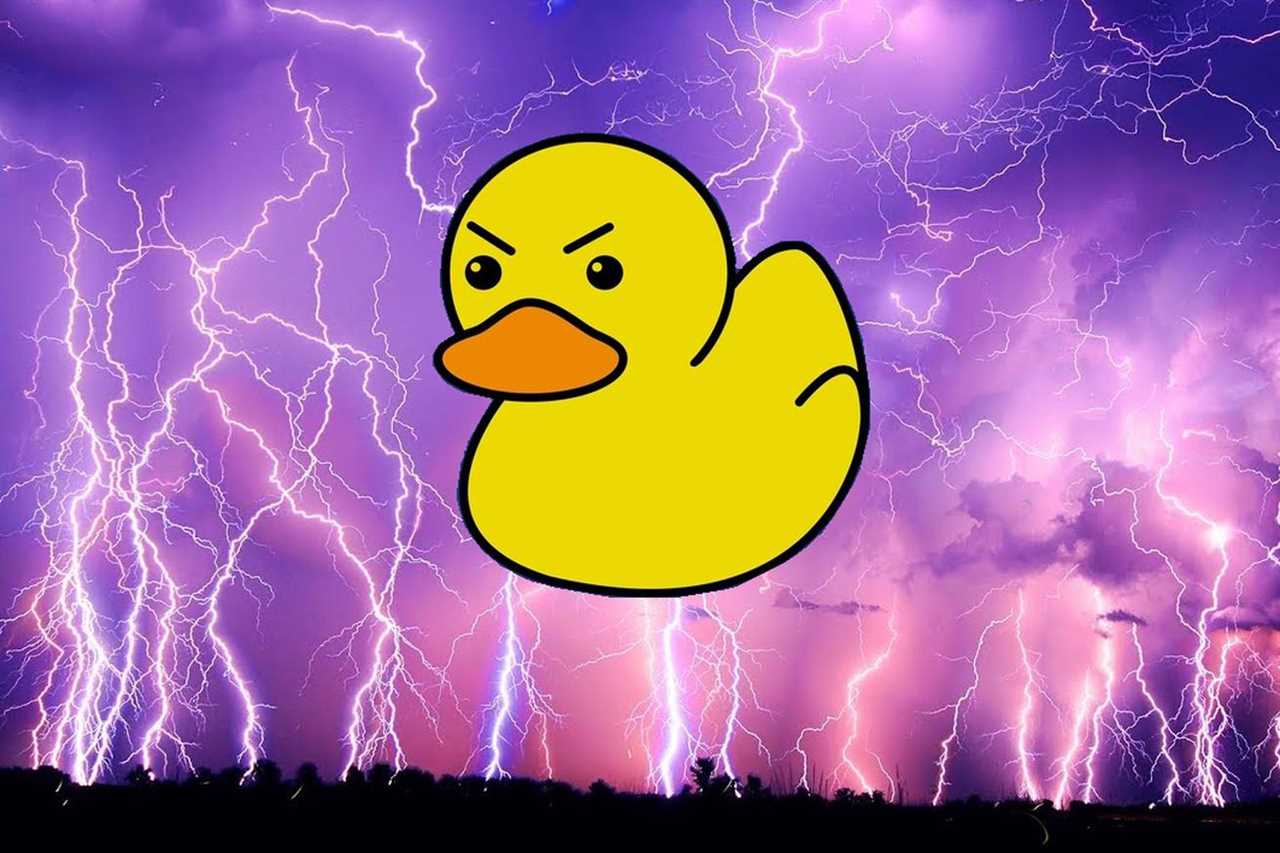 Player I’m Most Excited for this Spring: Storm Duck