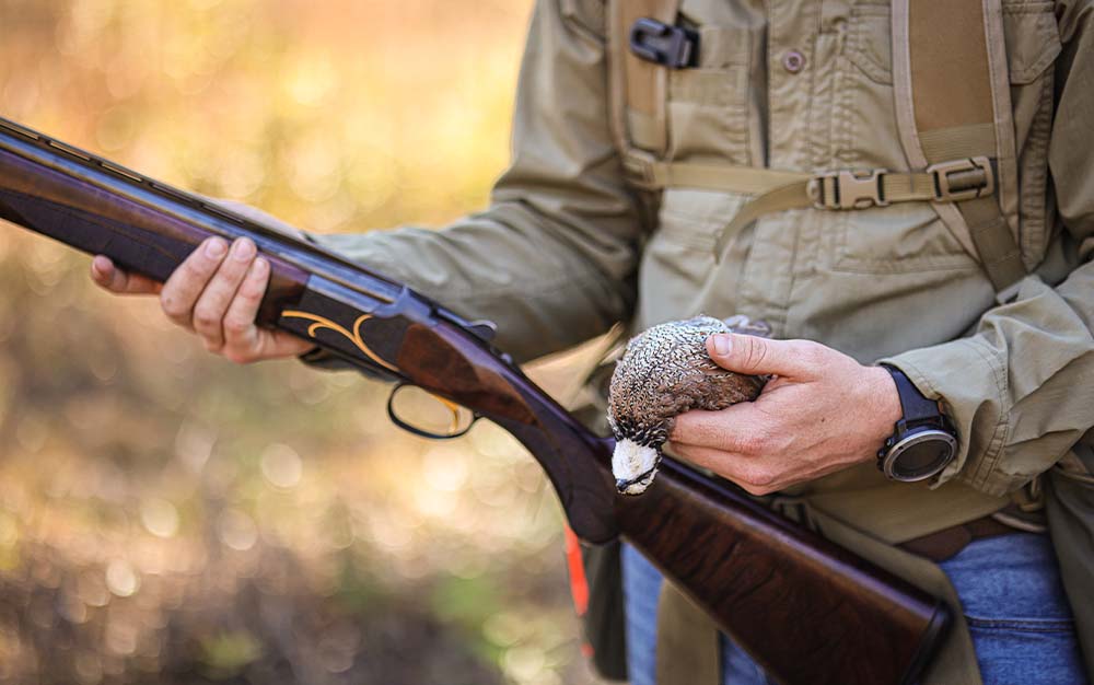 Upland bird hunting