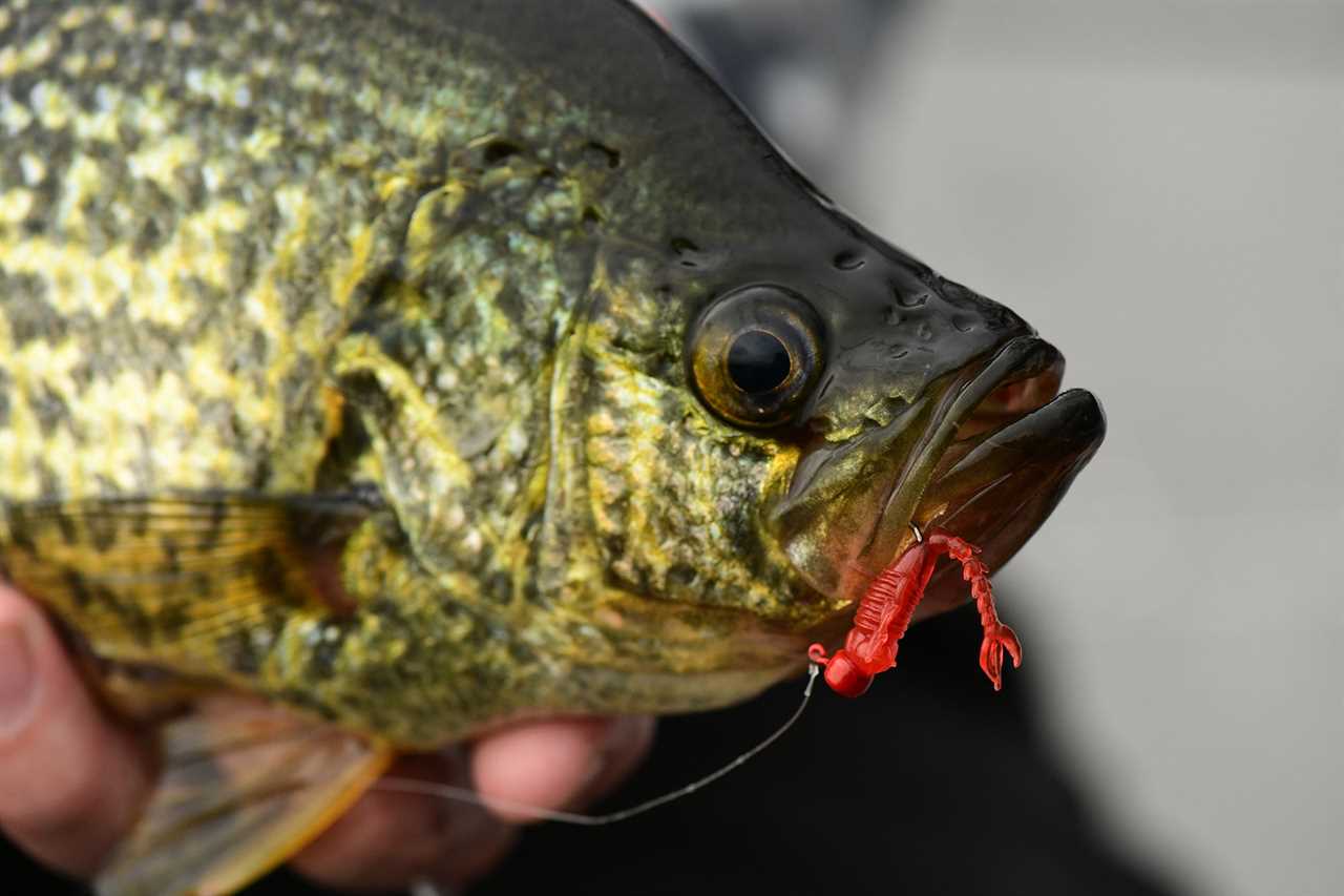 spring crappie fishing