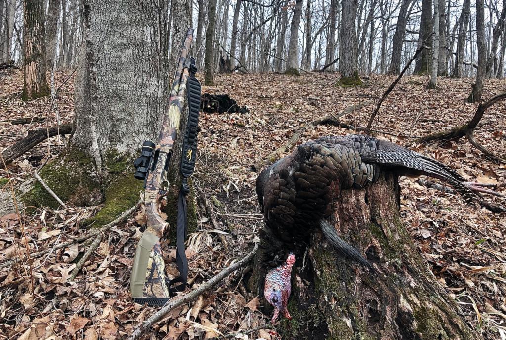 A public-land gobbler.