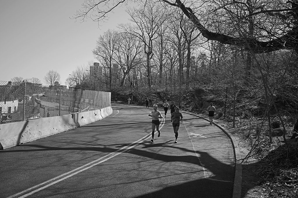 Photo of Central Park