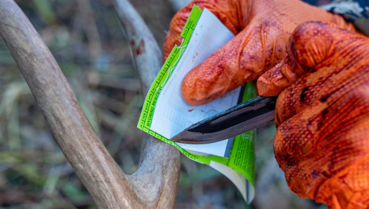 A hunter notches his deer tag.