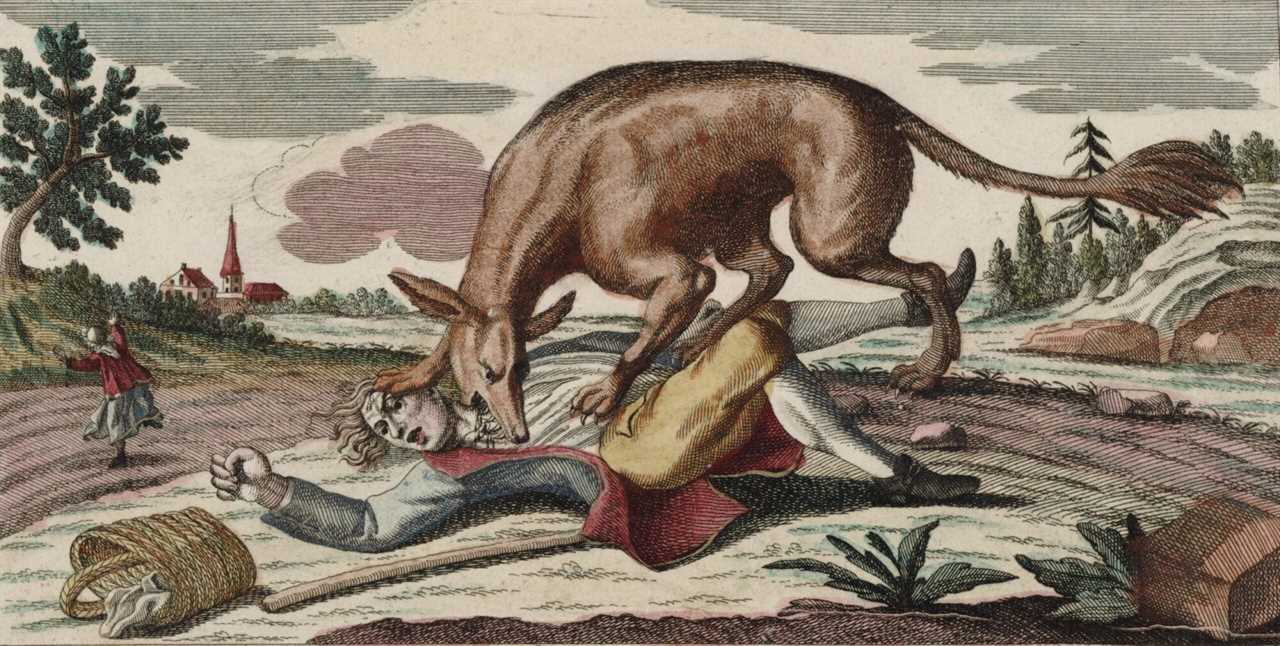 wolf attacking human engraving