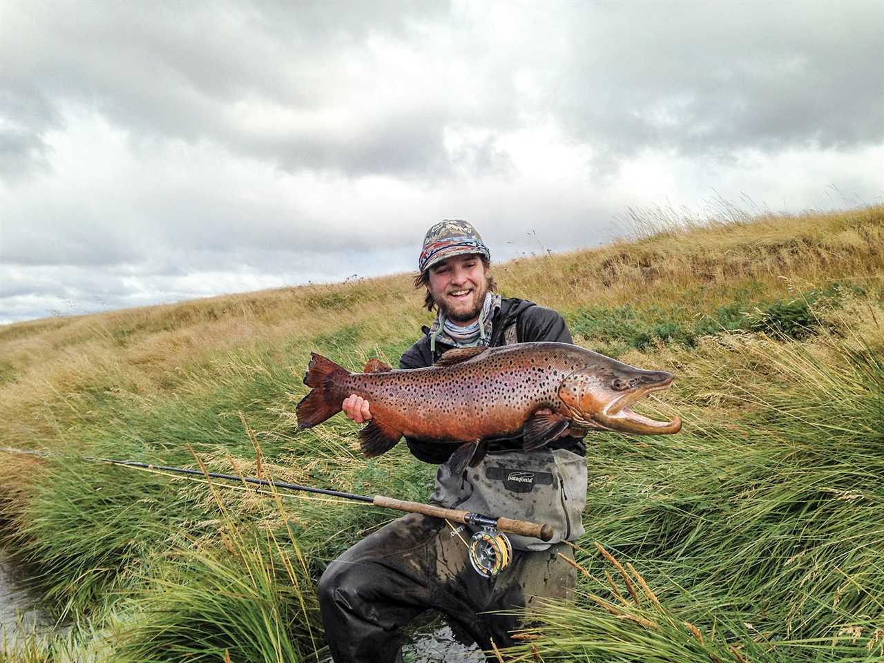 A man holds up a huge brown trout.