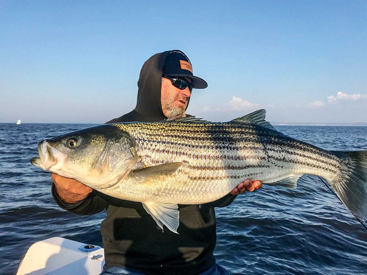 A man holds up a fat Jersey striper.