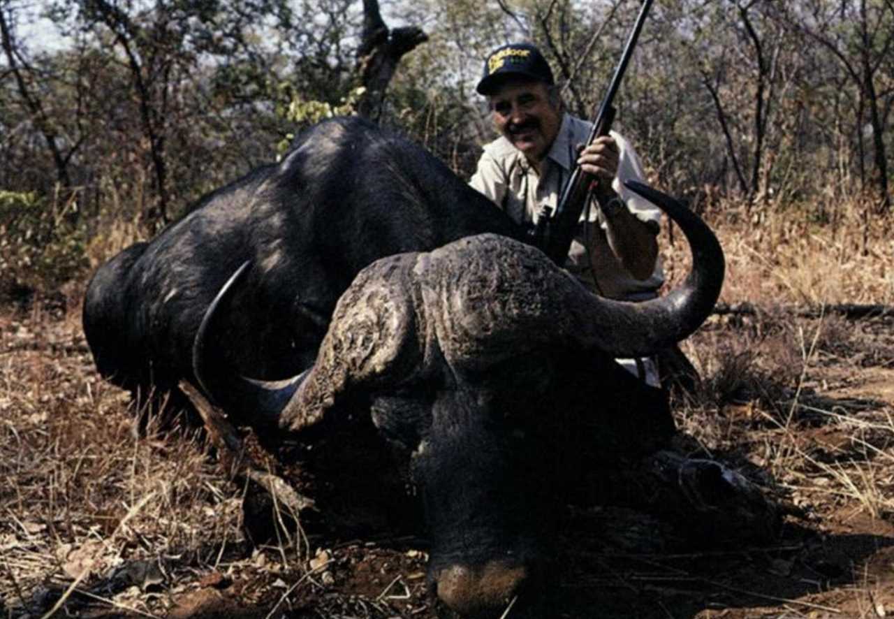 cape buffalo knockdown power