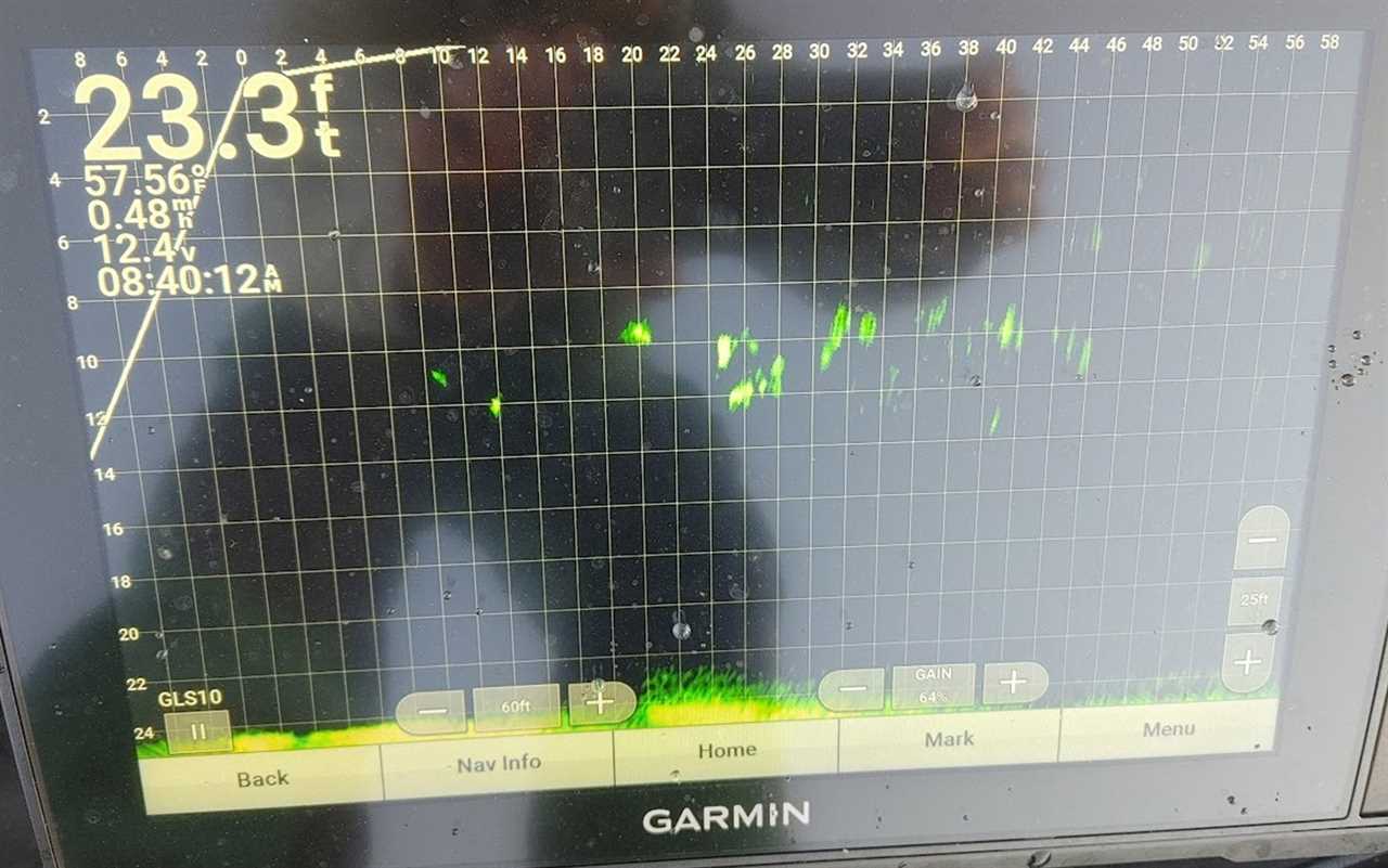 Learning to use and read LiveScope takes time, but it's a worthwhile investment.