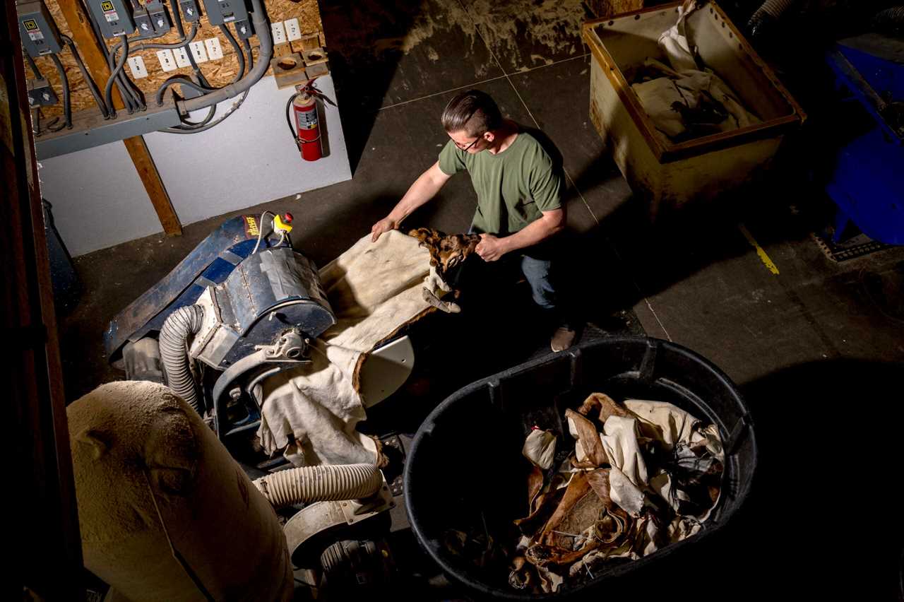 A staking machine helps begin stretching a tanned hide.