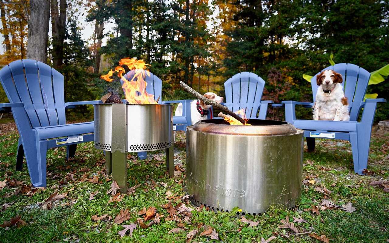 Two dogs enjoying smokeless fire pits.