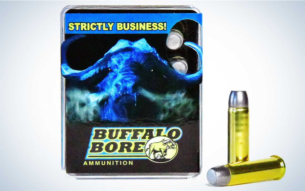 Buffalo Bore Heavy .357 Mag Outdoorsman 180 Grain is best for bear.