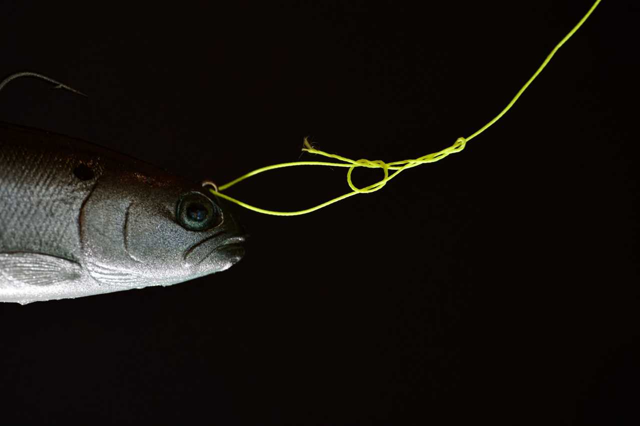 A fish and a knotted fishing line on a black backdrop