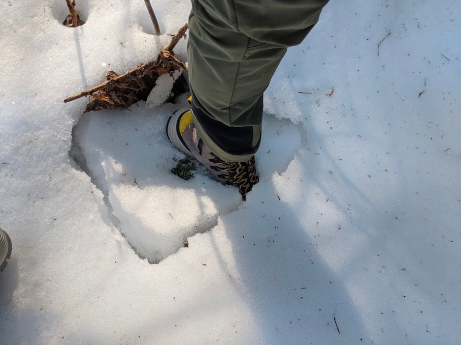 The Best Hiking Boots for 2023