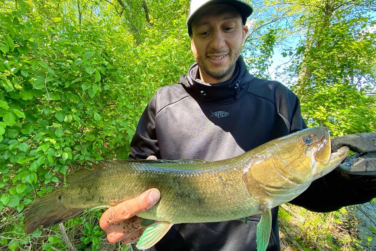 angler holding bowfin