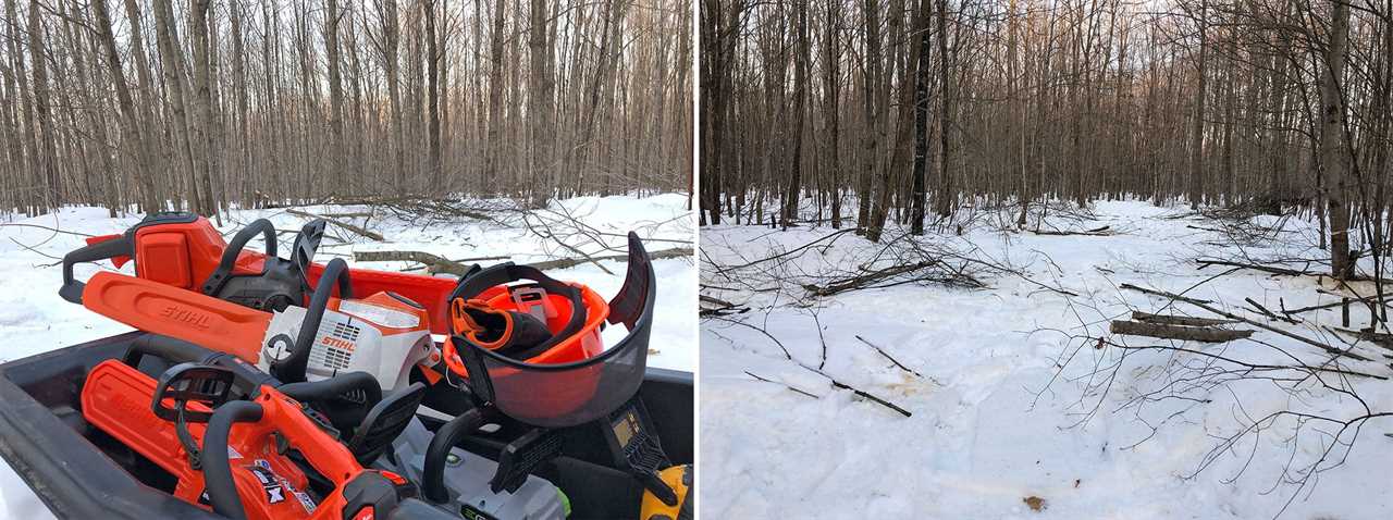 battery powered chainsaws