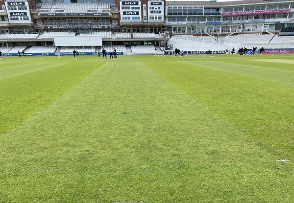 WTC Final 2023: First look at the Oval wicket