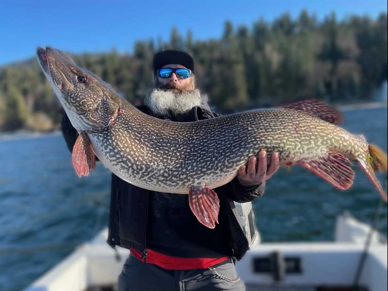 idaho record pike