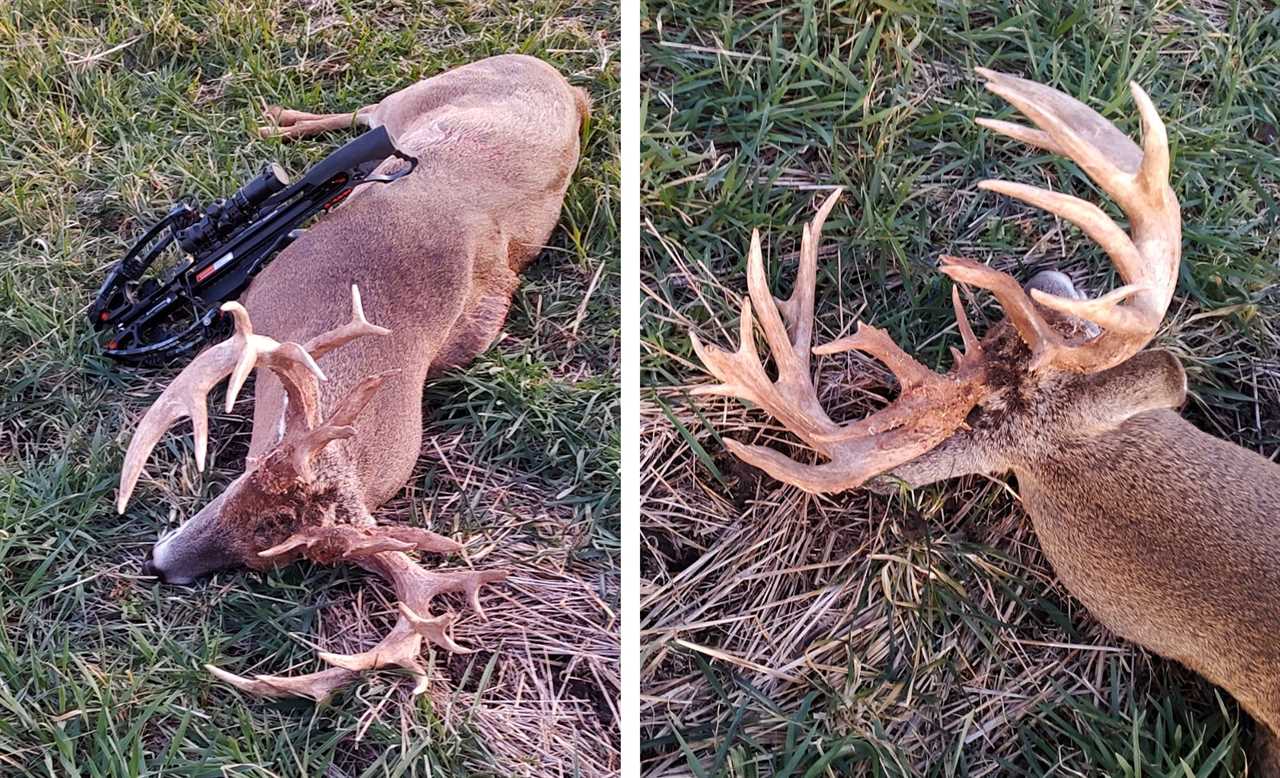 Views of a 230-inch Kansas buck's antler.s