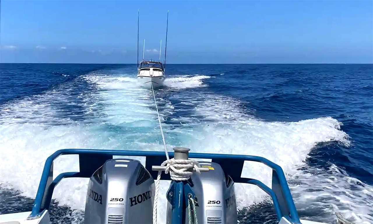 marlin disables boat