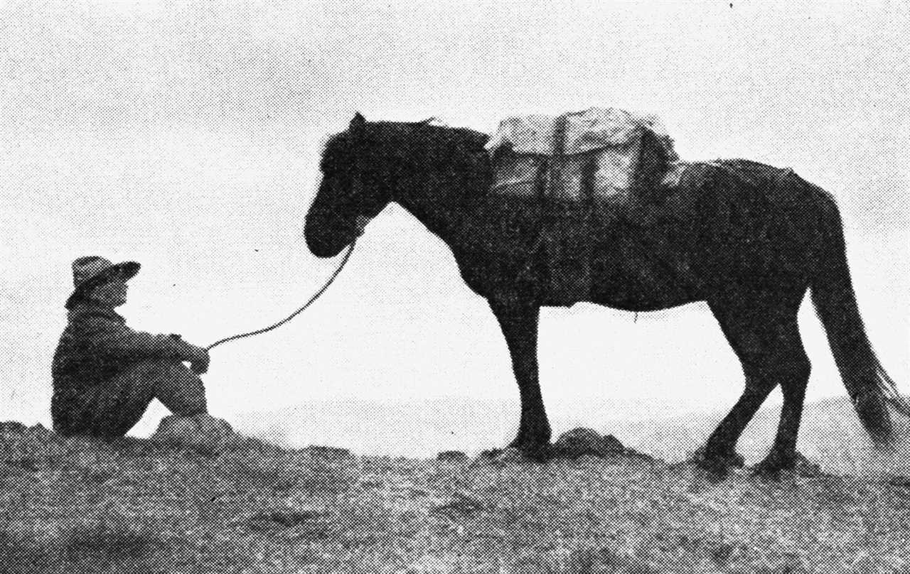 amelia earhart sits on mountain crest with pack horse