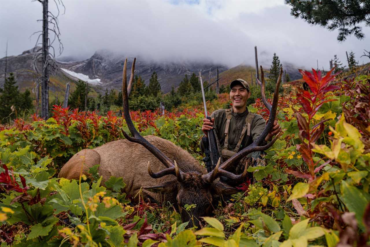 Elk taken with Barnes .300 Win. Mag Vor-Tx