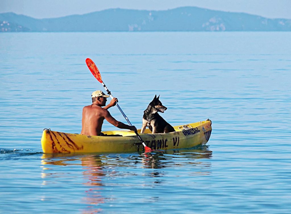 Sea kayaking 