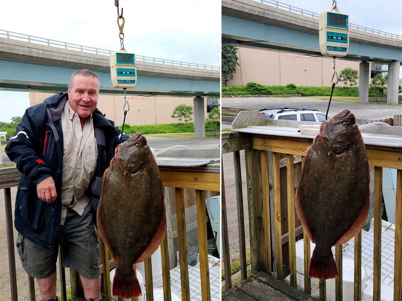 connecticut record fluke