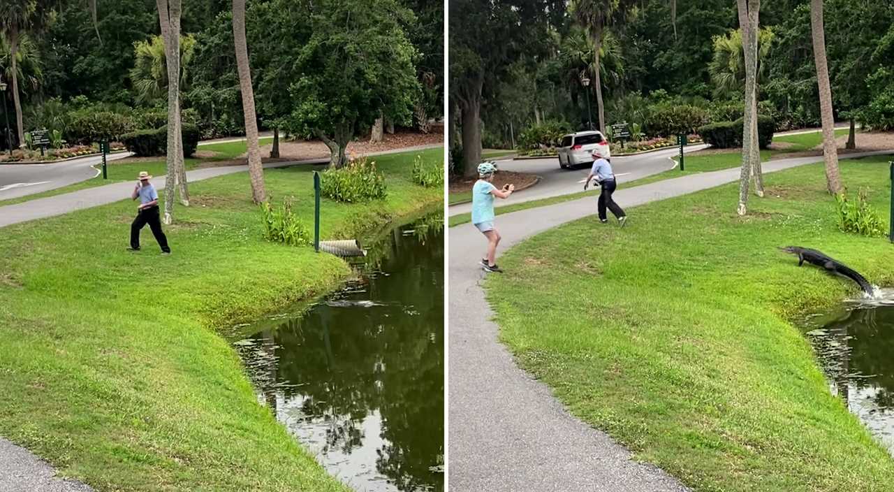 alligator incident fishing ban