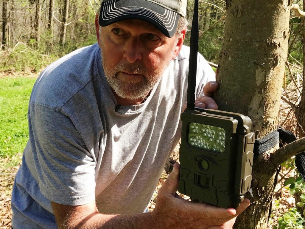 A hunter installs a trail camera on a tree.