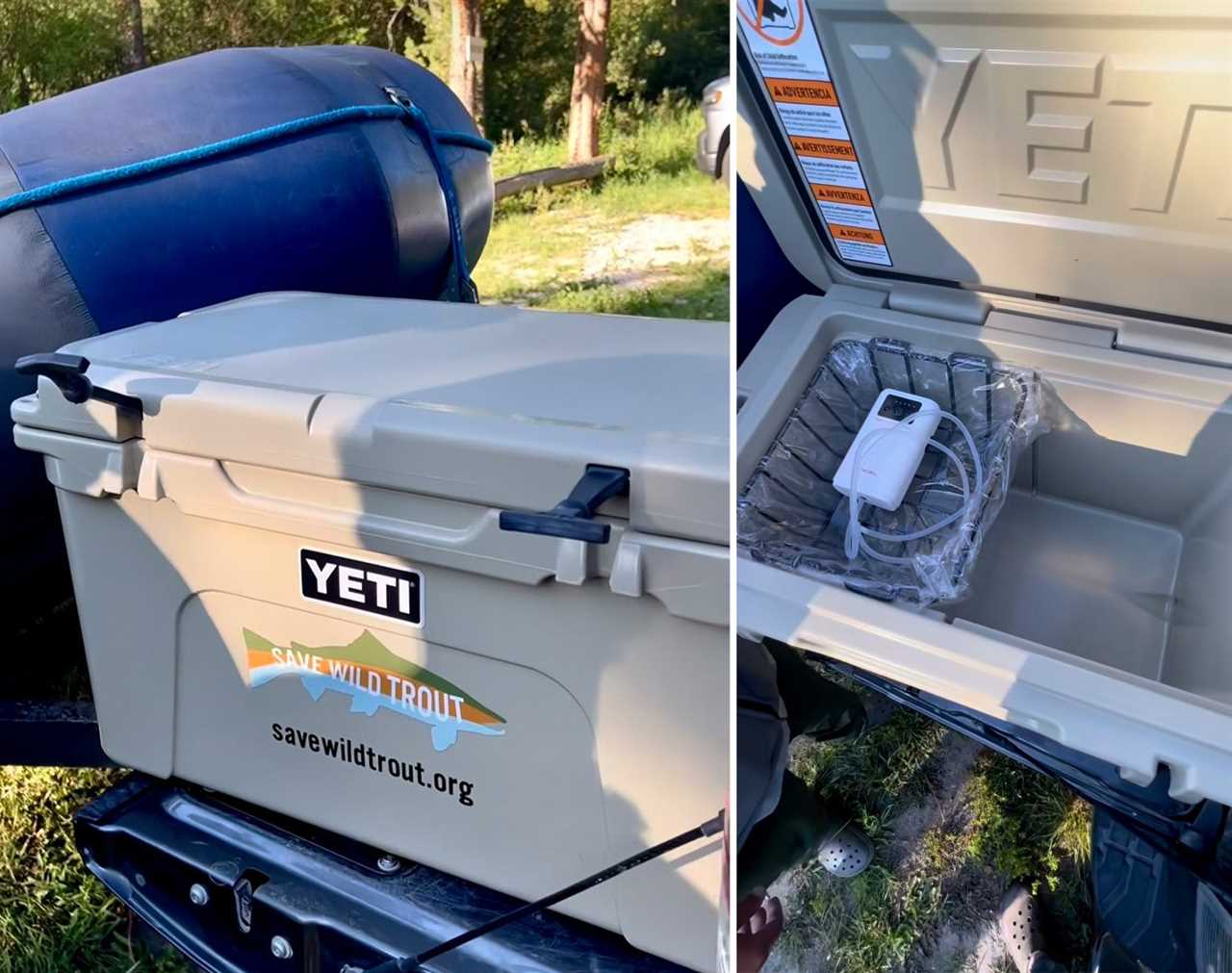 mt trout declines yeti cooler