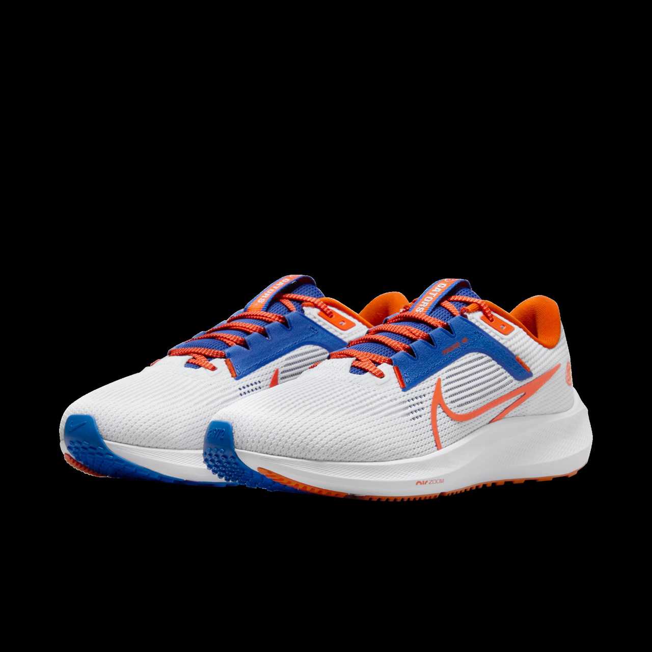 Florida Gators Nike Pegasus sneaker 2023