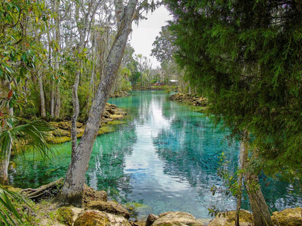Three Sisters Springs Kayaking: Experience the Natural Beauty of Florida! 68 Three Sisters Springs Kayaking: Experience the Natural Beauty of Florida! 12