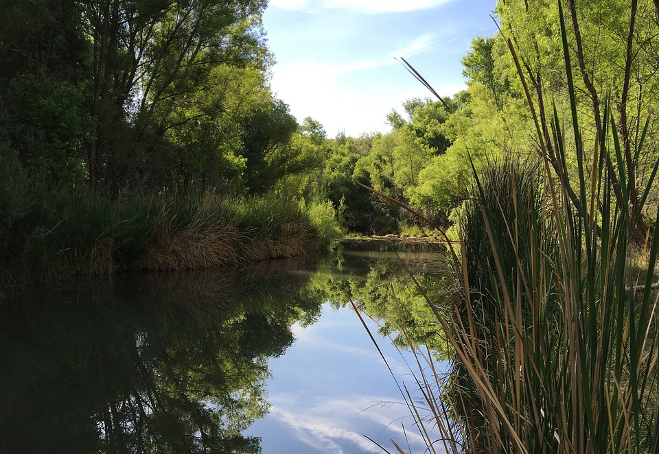 Verde River Kayaking: Paddlers' Favorite Outdoor Destination! 7 verde river kayaking