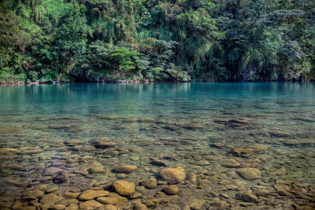 Weeki Wachee Kayaking: The Perfect Location for Kayakers! 5 Weeki Wachee kayaking