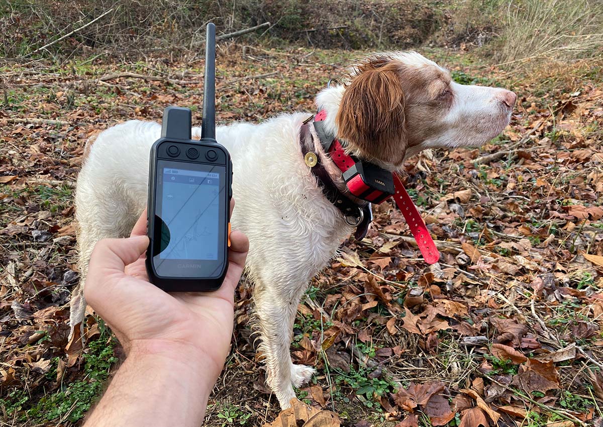 Garmin Alpha 200i