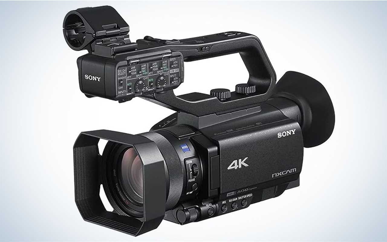 The Sony NX80 is best overall.