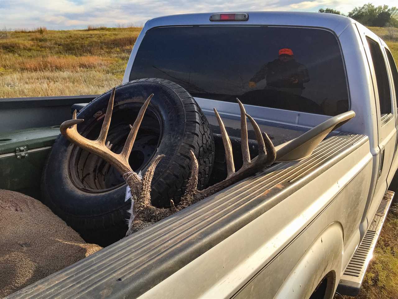 cwd positive buck transported south carolina