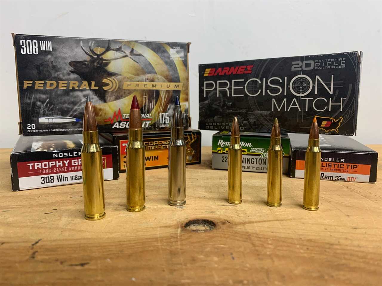 .308 vs 5.56 ammo