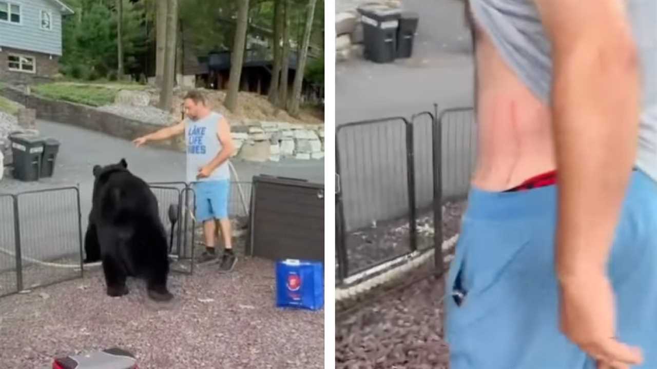 man escorts bear out of camp