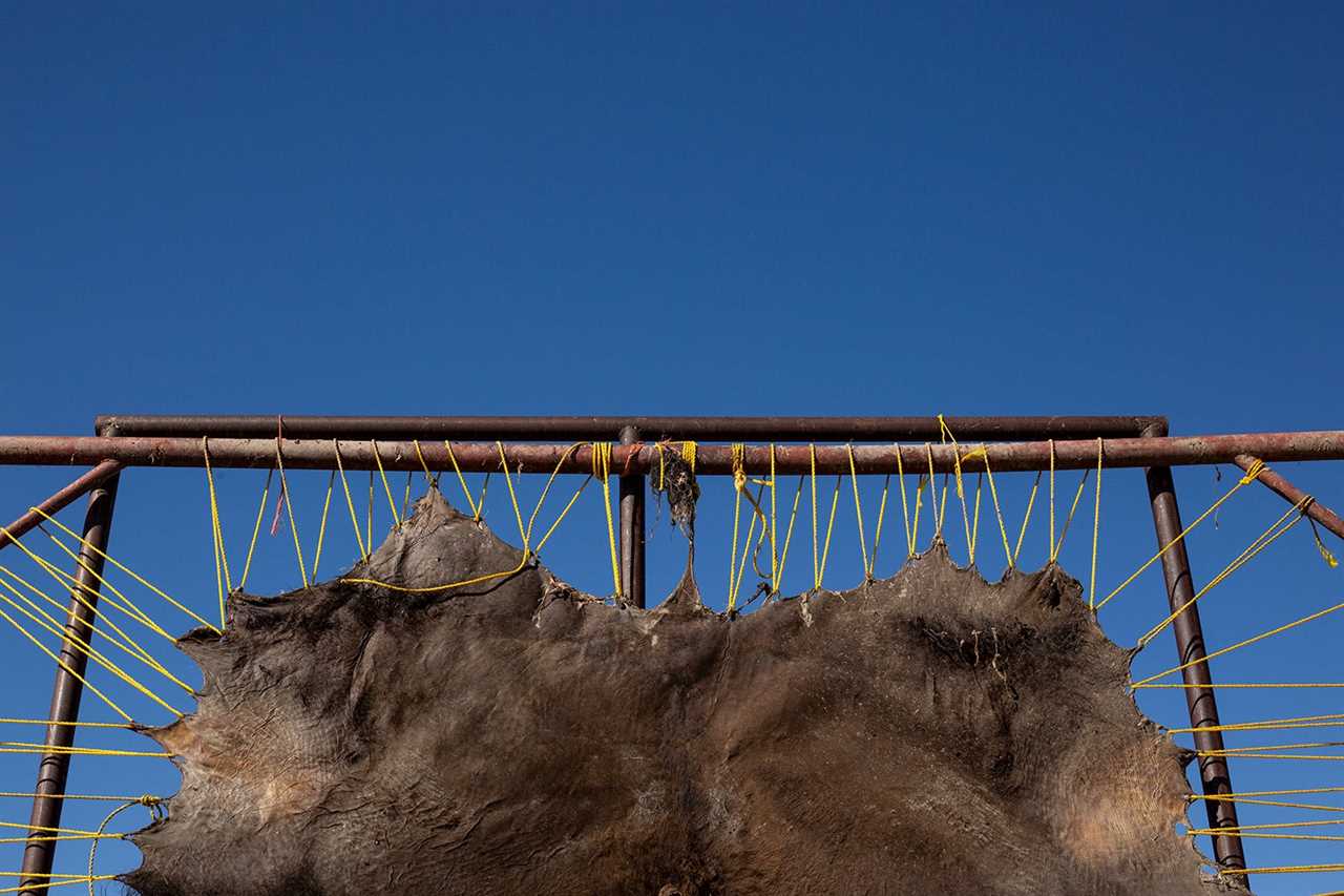 buffalo hide on wood and cord stretcher