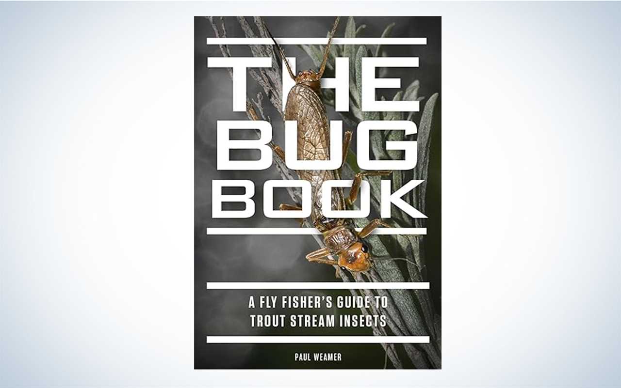 We read The Bug Book.