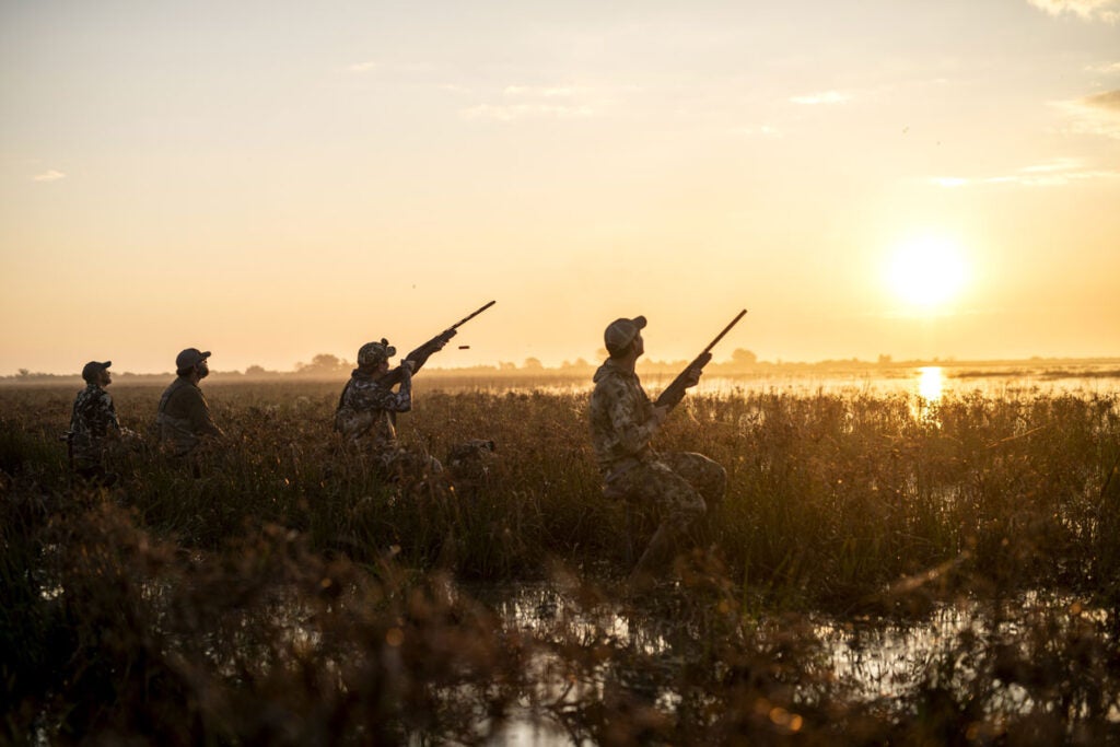 Duck Hunting photo