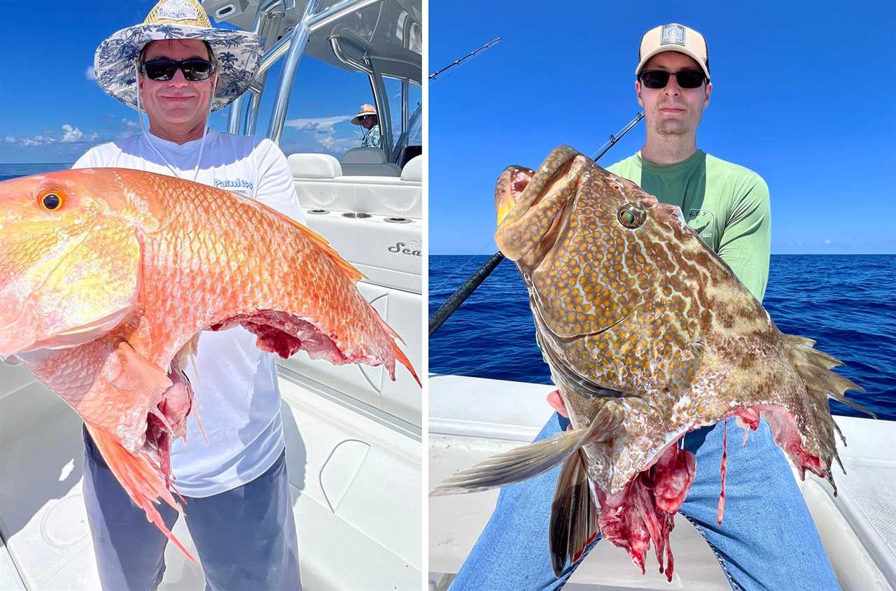 Shark-bit fish on a charter boat.