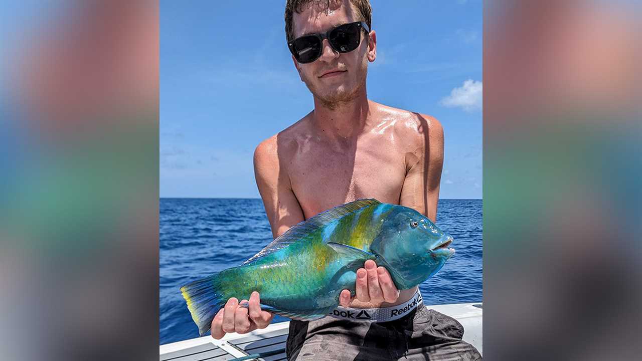 north carolina puddingwife wrasse record
