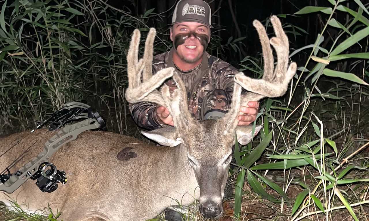 alabama velvet buck