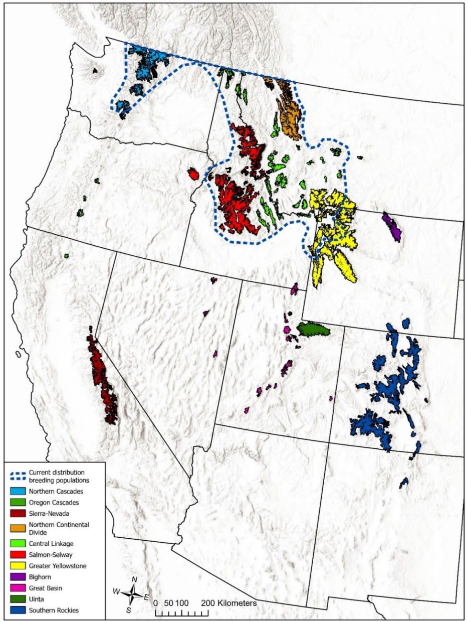 core wolverine habitat