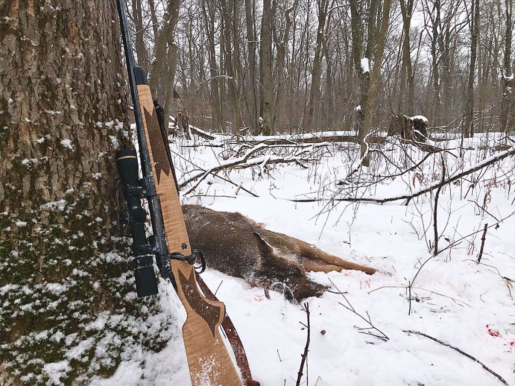 snowy day deer