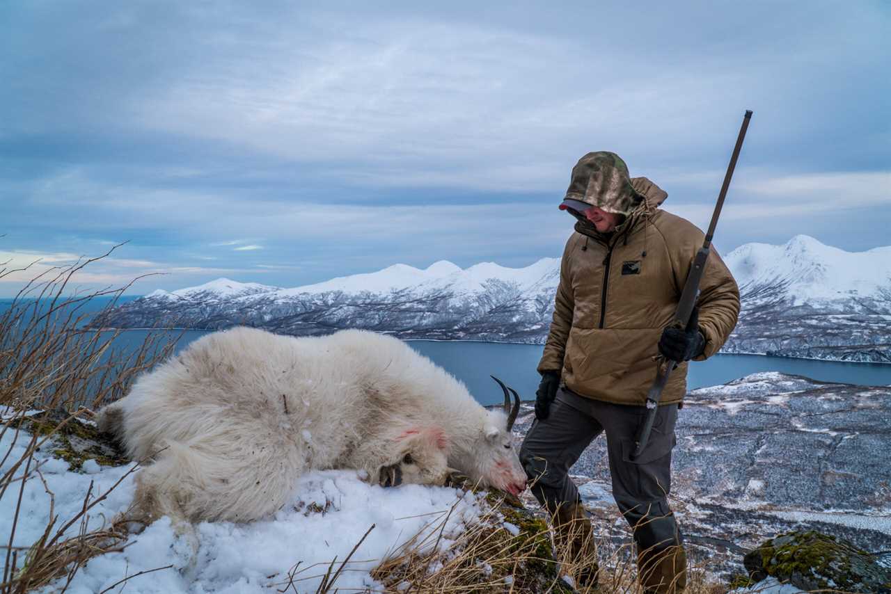 mountain goat hunt