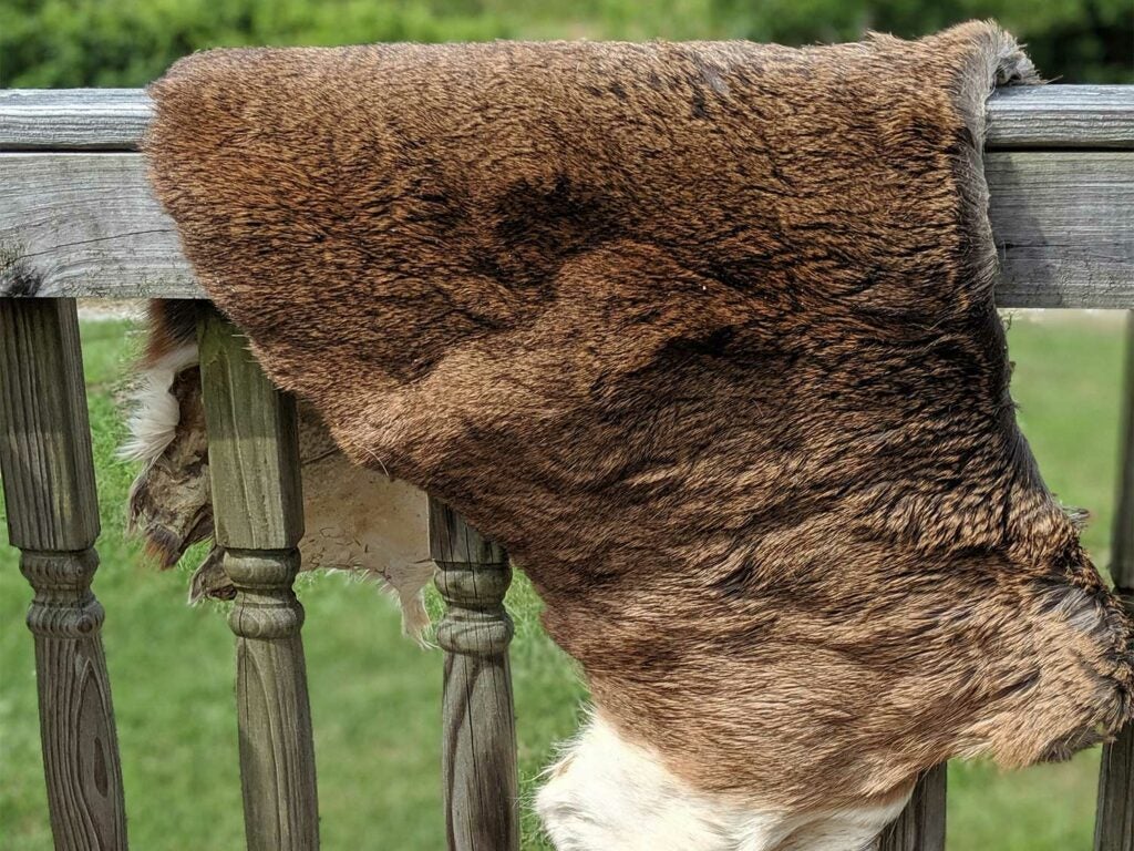 a deer hide on a wooden railing